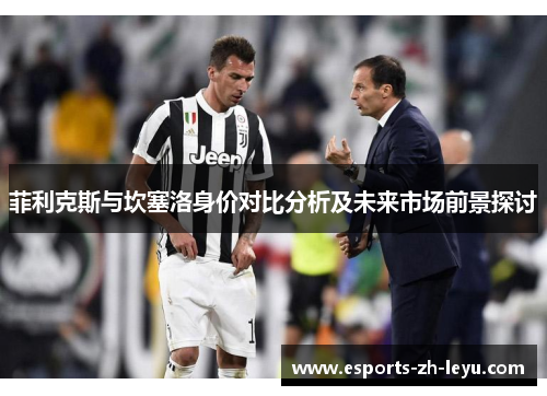 菲利克斯与坎塞洛身价对比分析及未来市场前景探讨