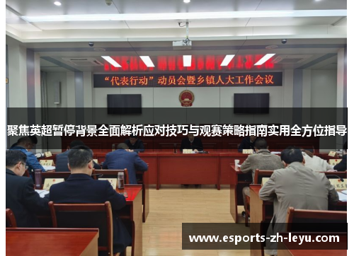 聚焦英超暂停背景全面解析应对技巧与观赛策略指南实用全方位指导