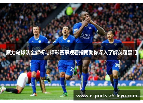 魔力鸟球队全解析与精彩赛事观看指南助你深入了解英超豪门