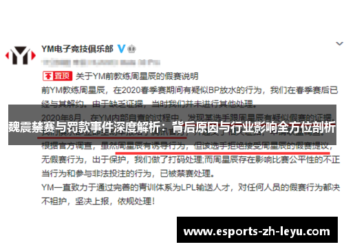 魏震禁赛与罚款事件深度解析：背后原因与行业影响全方位剖析