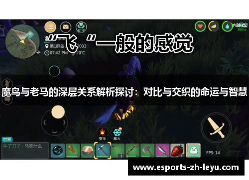 魔鸟与老马的深层关系解析探讨：对比与交织的命运与智慧